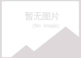 宁夏白山会计有限公司